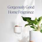 Aera Mini Home Fragrance Diffuser Plug-in: Smart Home App Aroma Control, Essential Oil & Aromatherapy, Hypoallergenic Scent Technology, Safe for Family & Pets, White (Scent Capsules Sold Separately)