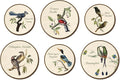 TOARTi 6pcs Vintage Bird Wall Art Set(9.9”x3/7.9”x3) Round Bird Botanical Wooden Plaques Rustic Bird Plant Round Wall Hanging Farmhouse Birds Wall Decor for Home Bedroom Living Room Bird Lover Gift