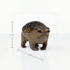 MOLMH Weird Queer Grumpy Frog Toad Statue Ugly Angry Outdoor Garden Yard Decor Statue Fun Novelty Home Office Decor Sculpture Unique Gift