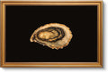 VIYYIEA Vintage Gold Framed Wall Art for Living Room, Oyster Canvas Prints Home Decor, Oil Painting Picture, Bedroom Wall Decor Gifts for Friends or Family -【Oyster】-(24L x 16W)
