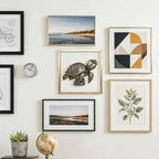 Newinhome Animal Heads Wall Decor (Includes Metal Frame) Resin sea turtle Sculptures Wall Hanging Decoration Gold vintage Wall Sculpture for Living Room Bedroom Office(Turtle)