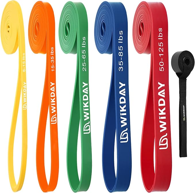 Resistance Bands, Pull Up Bands, Workout Bands for Exercise, Thick Heavy Resistance Band Set with Door Anchor, Elastic Bands for Body Stretching, Training at Home/Gym for Men & Women