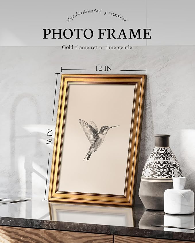 VIYYIEA Vintage Gold Framed Wall Art for Living Room, Birds Canvas Prints Home Decor, Sketch Painting Picture, Bedroom Wall Decor Gifts for Friends or Family -【Hummingbird】-(16L x 12W)