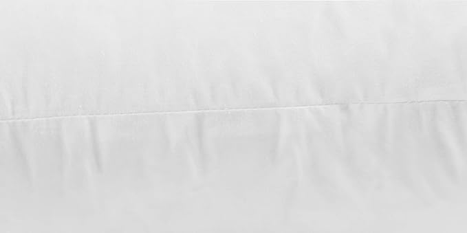 JA COMFORTS 24×24 Premium Goose Down Feather Throw Pillow Inserts(Set of 2)-5% Down Filling,High Filling Weight,250 TC Cotton Cover, Square, White