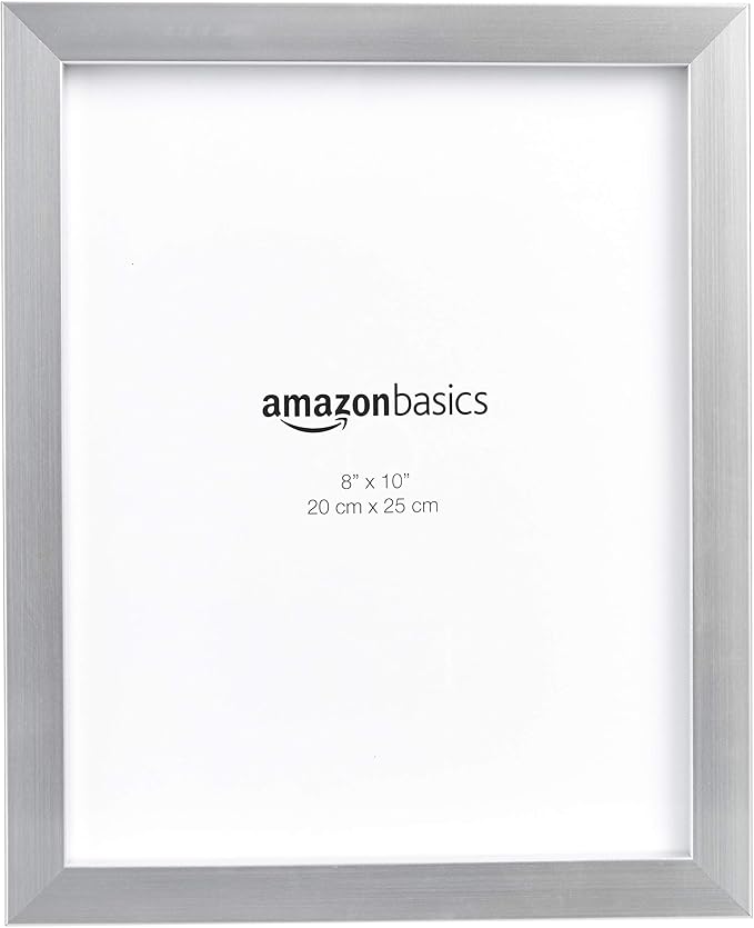 Amazon Basics Rectangular Photo Picture Frame, 8" x 10", Pack of 2, Nickel