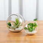WGV Slant Cut Bowl Glass Vase Bulk, Width 5.5", Height 5.5", Clear Round Globe Planter Terrarium Orb, Candy Dish, Fruit Jar, Floral Container for Home Office Decor, 12 Pieces