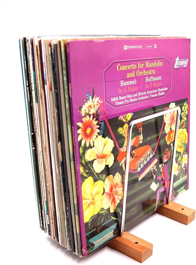 40 LP Vinyl Record Storage Solid Cherry Wood Record Holder Vinyl Record Holder Record Display For Albums Vinyl Holder & Vinyl Stand (Stainless Steel)