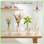 YOUEON 16 Pack Clear Glass Bud Vases, Small Bud Vases in Bulk, Glass Flower Vases for Centerpieces, Vintage Decorative Bottle Vases for Flowers, Home Decor, Wedding Reception, Office