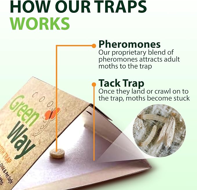Greenway Clothing Moth Traps with Powerful Pheromone Lures for Effective, Odor-Free Closet Protection, Non-Toxic, Eco-Friendly & Long-Lasting Solution, 1 Packs (Includes 2 Traps & 2 Lures)