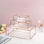 Hipiwe Vintage Glass Keepsake Box Rectangle Jewelry Display Organizer Lidded Box Home Decor Glass Decorative Box for Trinket Rings Earrings Bracelet, Rose Gold, Small