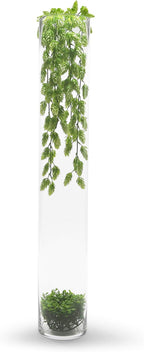 WGVI Quality Thick Weighted Tall Clear Cylinder Glass Vases, 4" W x 28" H, Flower Arrangement Floating Candle Holders Wedding Centerpieces Event Floral Container Display Décor, Bulk Wholesale, 6 Pcs