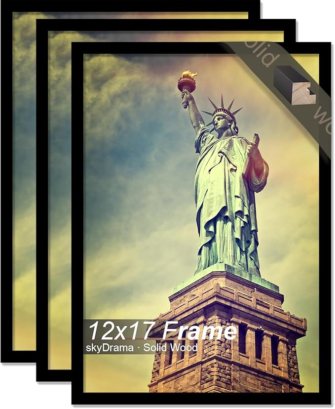 100% Solid Wood 12x17 Picture Frame Set of 3, Black Frame for 12 x 17 Inch Picture Poster Photo, Light Weight 12 by 17 HQ Matte Black Frame for Wall - 3 Pack/Black/12 x17