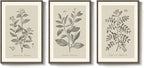 Large Framed Vintage Botanical Wall Art for Living Room, 3 Piece Rustic Farmhouse Plant Canvas Painting Prints Artwork, Neutral Natural Floral Pictures for Bedroom Kitchen Hallway Wall Decor, 24x36 In