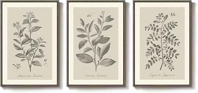Large Framed Vintage Botanical Wall Art for Living Room, 3 Piece Rustic Farmhouse Plant Canvas Painting Prints Artwork, Neutral Natural Floral Pictures for Bedroom Kitchen Hallway Wall Decor, 24x36 In