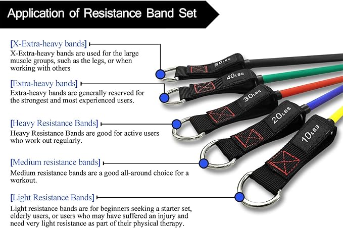 TheFitLife Exercise Resistance Bands with Handles - 5 Fitness Workout Bands Stackable up to 110/150/200/250/300 lbs, Training Tubes with Large Handles, Ankle Straps, Door Anchor, Carry Bag