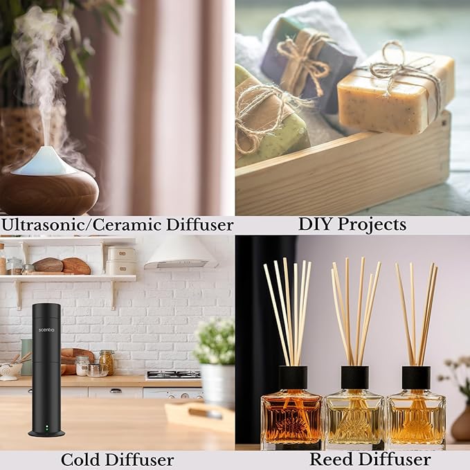 Scentia Hotel Diffuser Oil Inspired by Fairmont Hotel - 50 mL 1.69 fl oz -Essential Oil Blend Rose, Oud Wood & Clove Notes for Aromatherapy Diffusers - Lost Rose, Thanksgiving Gift