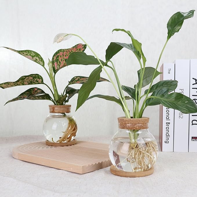 Plant Propagation Station,Hydroponic Glass Container Vase Jars, with Wooden Saucer for Desks, Houses, Garden Decorations, Home Kitchen Decorations and Gifts for Plant Lovers (9)
