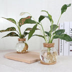 Plant Propagation Station,Hydroponic Glass Container Vase Jars, with Wooden Saucer for Desks, Houses, Garden Decorations, Home Kitchen Decorations and Gifts for Plant Lovers (4)