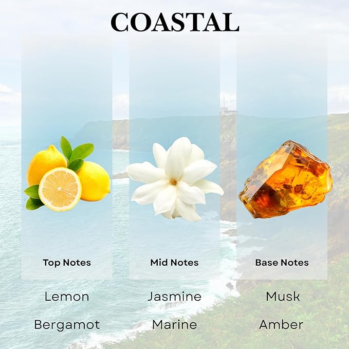 Scentia Hotel Diffuser Oil Inspired by 5-Star Hotel Scent - 50 mL 1.69 fl oz - Essential Oil Blend Botanical Jasmine, Bergamot & Fresh Marine Notes Aromatherapy Diffusers - Coastal
