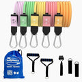 Bodylastics Patented Basic Series Resistance Band Set - 5 Resistance Bands with Snap Reduction Tech, 2 Handles, 2 Ankle Straps, 1 Door Anchor & 1 Carry Bag