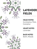 Maison Berger - Lavender Fields- Air Freshener - Fragrance Refill for Reed Sticks and Ceramic Diffuser - 6.76 Fluid Ounces - 200 Milliliters