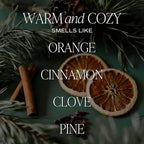 Sweet Water Decor Warm and Cozy Reed Diffuser Set - Orange, Cinnamon, Clove, and Pine Fall and Winter Scented Diffuser - Scent Diffusers for Home, Long Lasting Fragrance, Made in the USA