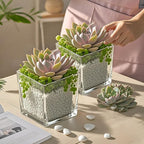 CONNOO 6 Pack Square Glass Vase 5" x 5" x 5", Clear Bulk Flower Vases for Centerpieces, Square Glass Cube Vase Floating Candle Holders for Wedding Party Home Decor