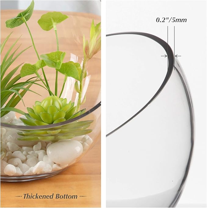 WGVI Clear Slant Cut Bowl Glass Vase, Glass Terrarium, Candy Dish, Glassware, Slant Open: 7". Height: 6" x 2.7". Base: 4" (1 Piece)