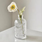 Propagation Vases for Plants, Bud Vases, Small Glass Vase for Flowers, Home Decor, Table Decor, Shelf Decor, Desk Decor, Office Decor