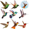 Bird Acrylic Hanging Ornament - 8Pcs Flying Birds Christmas Tree Ornaments, Xmas Tree Ceiling Pendants with Lanyard Tote Rearview Mirror Window Charms Gift for Men Women (Hummingbird 2)