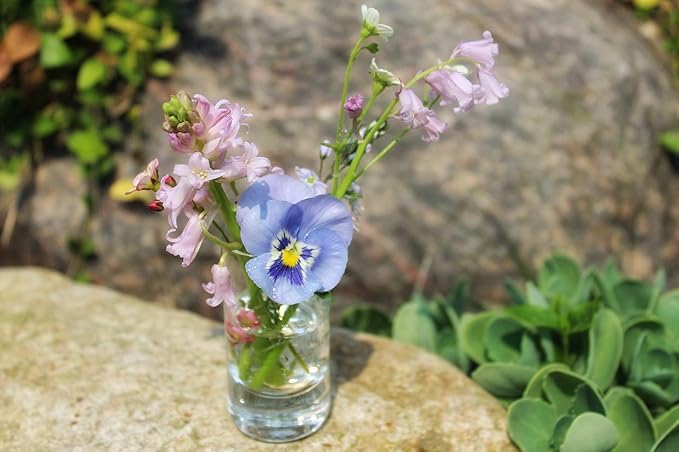 WGVI Quality Thick Weighted Clear Cylinder Glass Vases, 4" W x 6" H, Flower Arrangement Glass Candle Holders Wedding Centerpieces Terrarium Planter Floral Storage Container Pen Brush Holder, 1 Piece