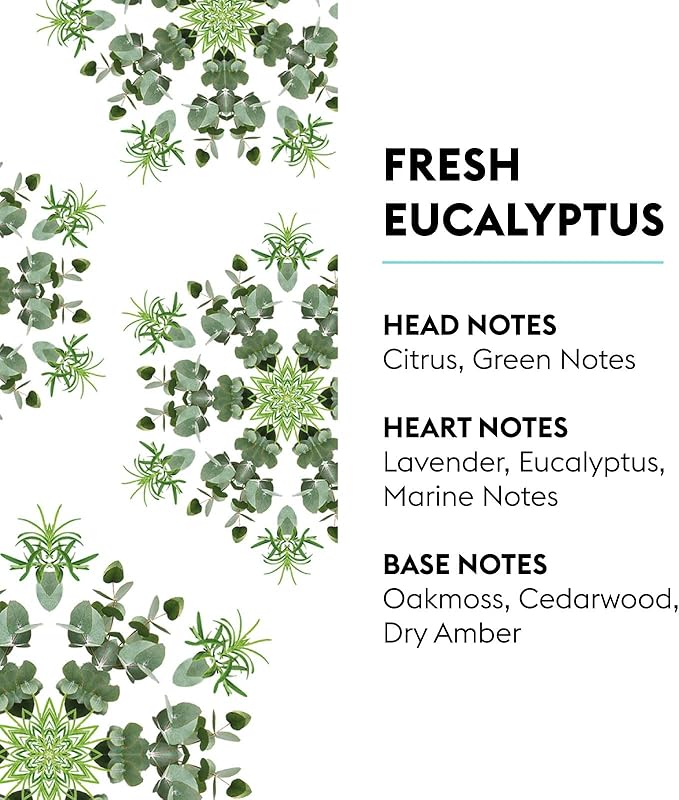 Maison Berger Fresh Eucalyptus Fragrance Refill – 200 mL / 6.76 fl oz Oil for Reed and Ceramic Diffusers Crisp Eucalyptus and Marine Scent – Invigorates Air with Clean, Natural Energy