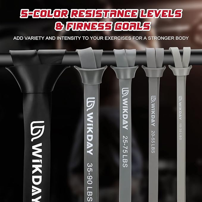 Resistance Bands, Pull Up Bands, Workout Bands for Exercise, Thick Heavy Resistance Band Set with Door Anchor, Elastic Bands for Body Stretching, Training at Home/Gym for Men & Women