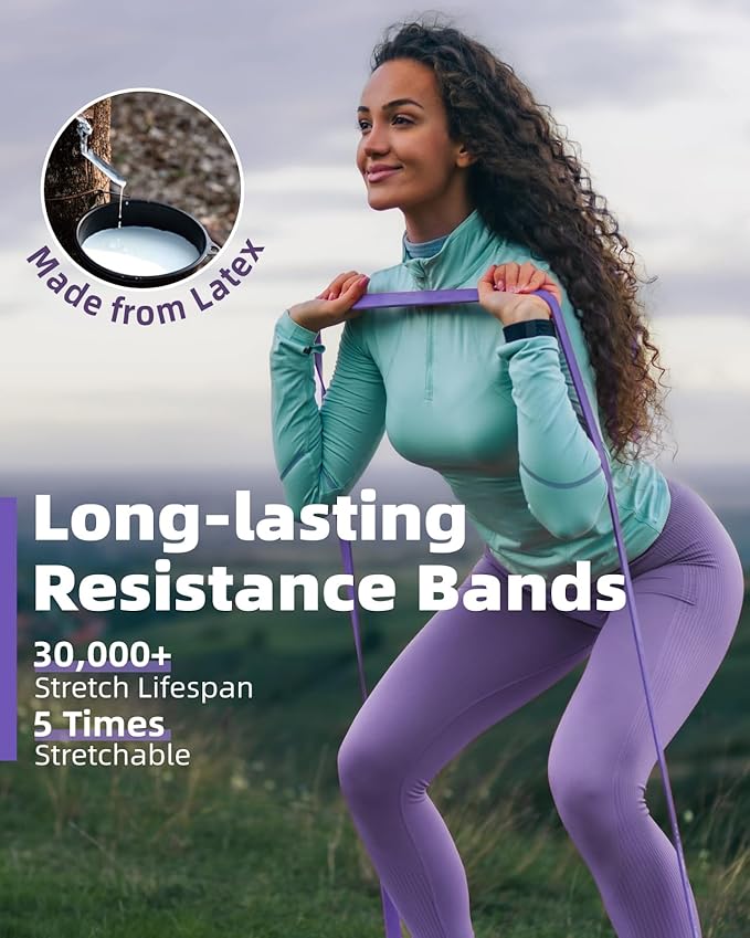 Resistance Bands Set - Pull Up Bands for Men Women, Exercise Bands Resistance with Door Anchor, Training Poster & Pouch for Body Stretching, Pull Up Assist
