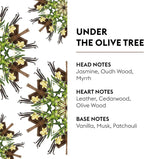 Maison Berger - Under The Olive Tree - Air Freshener - Fragrance Refill for Reed Sticks and Ceramic Diffuser - 6.76 Fluid Ounces - 200 Milliliters