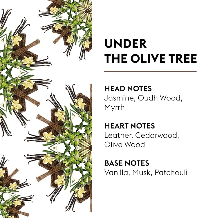 Maison Berger - Under The Olive Tree - Air Freshener - Fragrance Refill for Reed Sticks and Ceramic Diffuser - 6.76 Fluid Ounces - 200 Milliliters