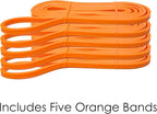 Pull Up Assistance Bands - Commercial Gym Quality 41" Loop Exercise Pull-Up Bands - 4 Different Resistance Levels to Choose from