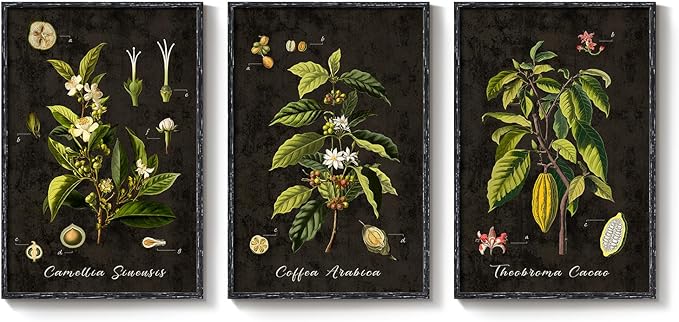 Large Vintage Framed Botanical Wall Art for Living Room, 3 Piece Dark Green Plant Canvas Paintings Prints, Retro Coffee Botanical Leaf Pictures for Dining Room Coffee Bar Kitchen Wall Decor, 24x36 In