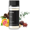Fierce-Inspired Diffuser Oil - Scentia You Fragrance Oil Perfume Dupe - 50 mL, 1.69 Fl oz Diﬀusers - A & F Inspired Essential Scented Oil - Best for Aromatherapy, SPA and Home, Thanksgiving Gift