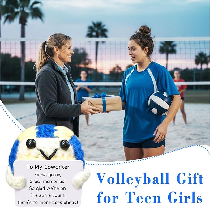 Handmade Collectible Volleyball Desk Decor - Funny Office Gift for Colleague,Coworker Appreciation Gift,Team Building Gifts for Volleyball Fans,Professional Home & Office Accent