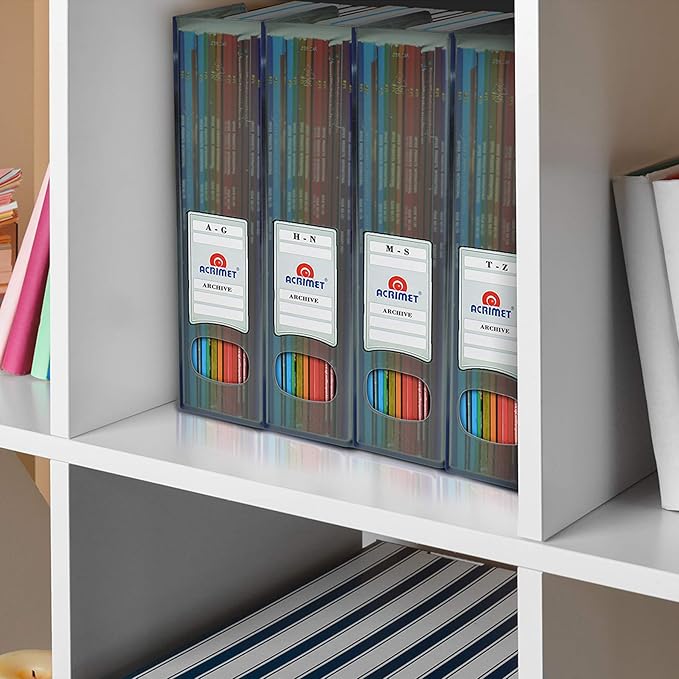 Acrimet Magazine File Holder Bin Storage, Vertical Rack for Documents, Folders and Mail, Durable Plastic Desk Organizer for Office & Home (Clear Gray Color) (2 Pack)