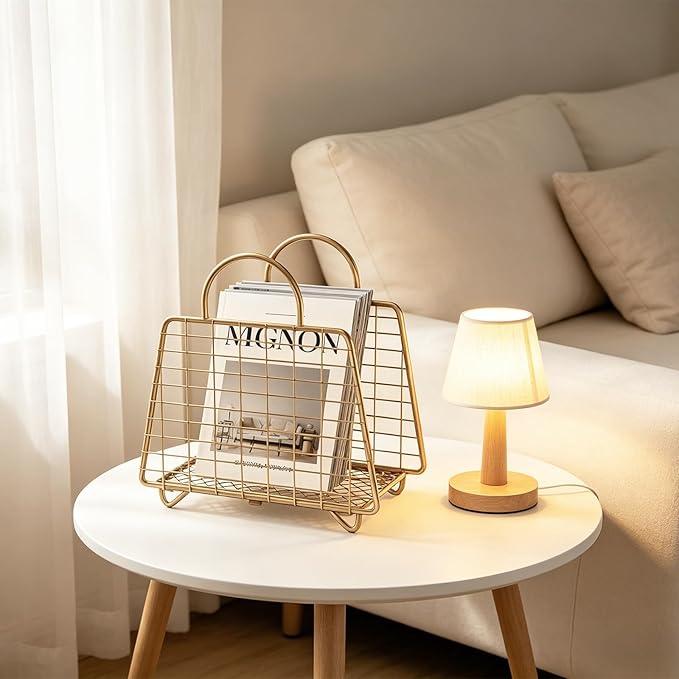 Gold Magazine Holder,Modern Magazine Rack Floor,Metal Wire Magazine Basket,Handbag Design Magazine Storage Organizer for Magazines File Book Newspaper Vinyl Record Albums