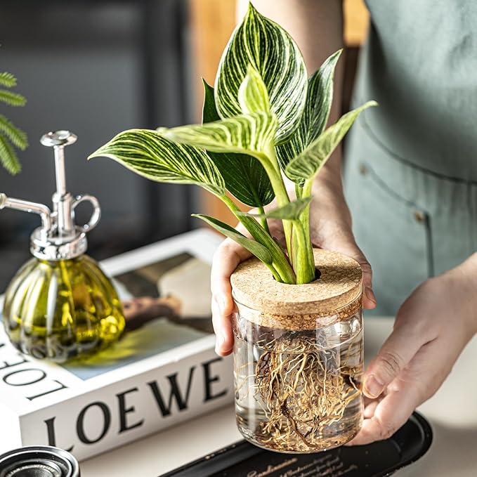 Glass Propagation Stations for Plants -Desktop Flower Vases,Propagation Flower Vases Set – 2 Large & 2 Small for Plant Cuttings，for Living Room, Bedroom Decoration,Home,Office Decor (8)