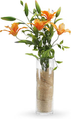WGVI Quality Thick Weighted Clear Cylinder Glass Vases, 4" W x 12" H, Flower Arrangement Floating Candle Holders Wedding Centerpiece Terrarium Planter Floral Storage Container, Bulk Wholesale, 12 Pcs
