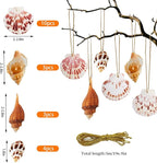 20 PCS Seashells Hanging Ornaments Natural Shells Decorations Beach Ocean Nautical Style for Summer Decor Christmas Tree Wedding Birthday Craft Conch Projects