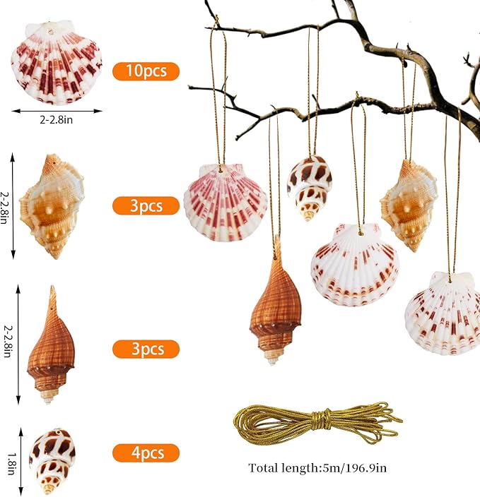 20 PCS Seashells Hanging Ornaments Natural Shells Decorations Beach Ocean Nautical Style for Summer Decor Christmas Tree Wedding Birthday Craft Conch Projects