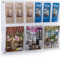 Displays2go 2-Tiered Acrylic Literature Wall Rack, Adjustable, Fits Brochures and Magazines - Clear (2RP6CLR)