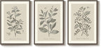 Large Framed Botanical Wall Art for Living Room, 3 Piece Neutral Plant Canvas Painting Prints Artwork for Farmhouse Walls, Vintage Floral Pictures for Bedroom Kitchen Hallway Wall Decor, 20x30 Inch