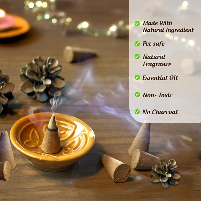 Hem 12 Assorted Boxes of Incense Cones, (120 Total)| Natural Fragrance for Aromatic Rooms | Odor Remover Incense for Stress Relief & Relaxation