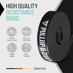 Pullup & DIP Fitness Bands, Resistance Bands with Bag, Door Anchor (with Sets) and Exercise Guide - Single & in Value Set, Pull-Up Band Fitness Band for Calisthenics